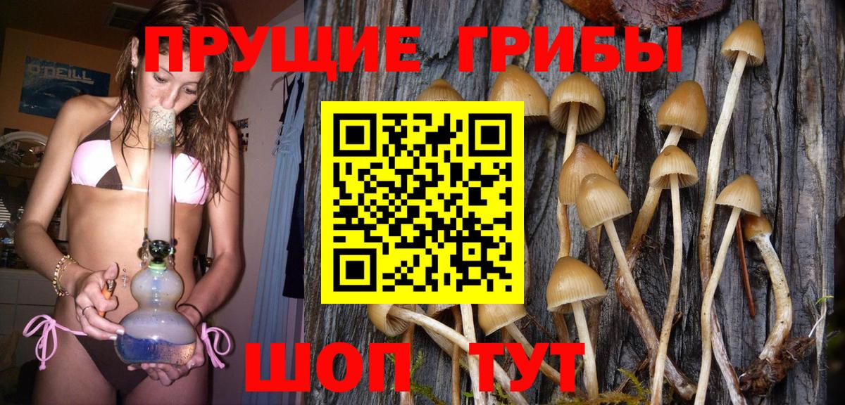 Псилоцибиновые грибы Magic Shrooms Ялуторовск