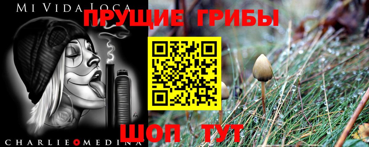 Галлюциногенные грибы Cubensis  Вход с VPN  Ялуторовск 